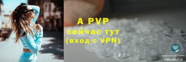 2c-b Горняк