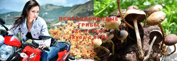 2c-b Горняк