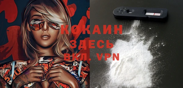 2c-b Горняк