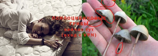 Альфа ПВП Горнозаводск