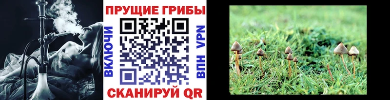 наркошоп Серпухов Галлюциногенные грибы MAGIC MUSHROOMS